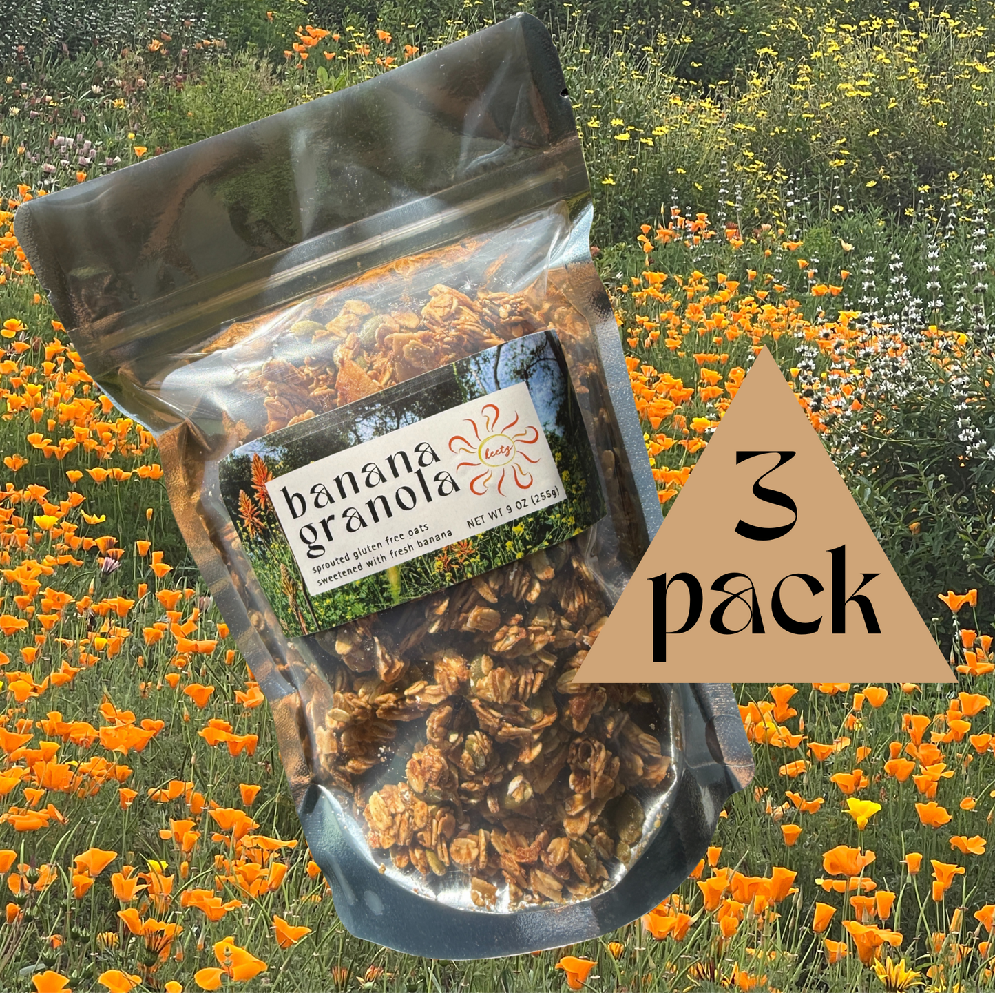 9 oz Banana Granola - 3 Pack