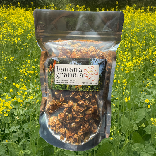 Wholesale Banana Granola 9-oz Retail Bag