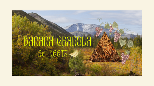 Wholesale Granola - Companion